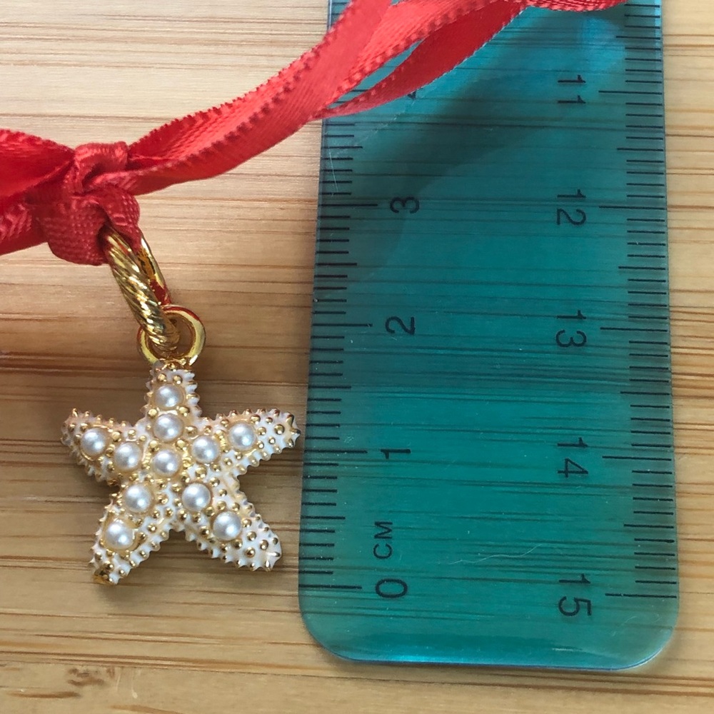 Brighton Star Cham *New*